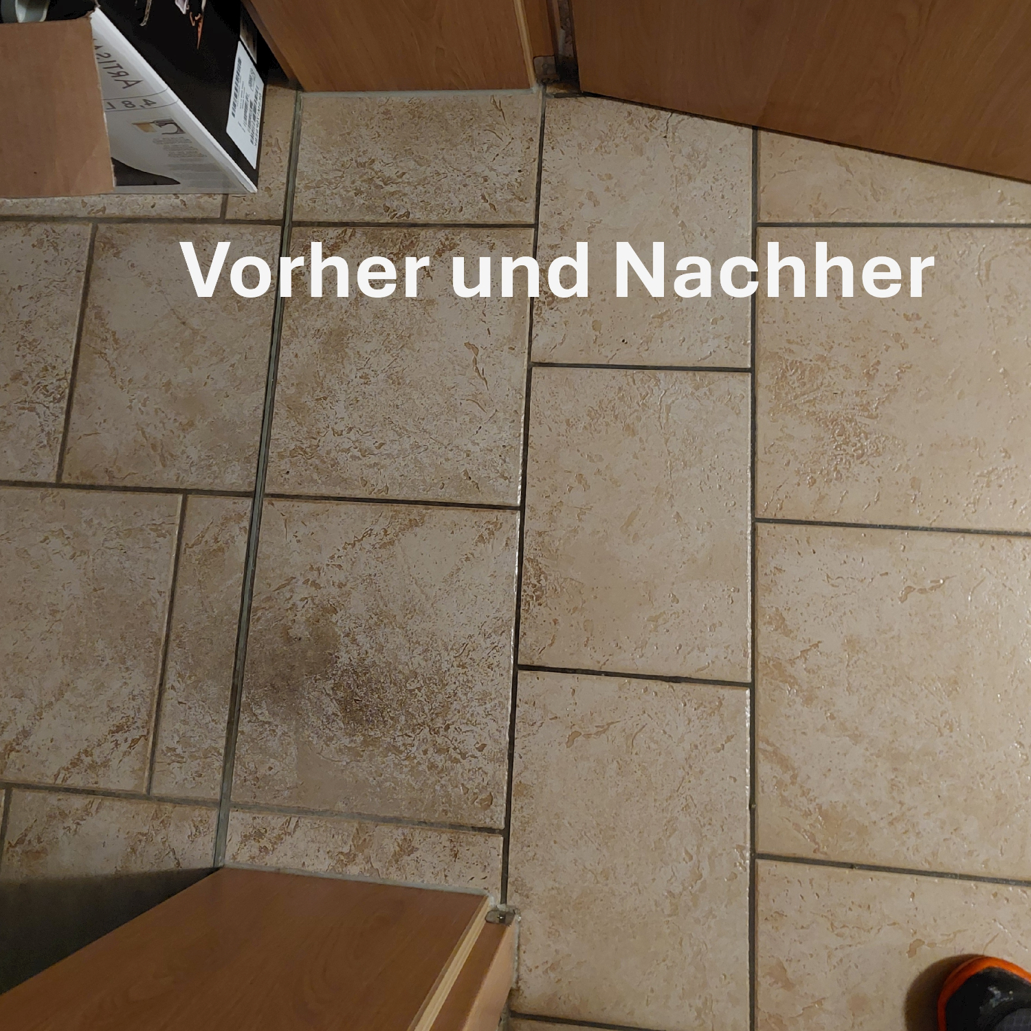 Grundreinigung Meißen
